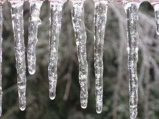 Upstate Headlines: Baby, It's (FREEZING) Outside! Tips for Low Temps in the Upstate & Other News