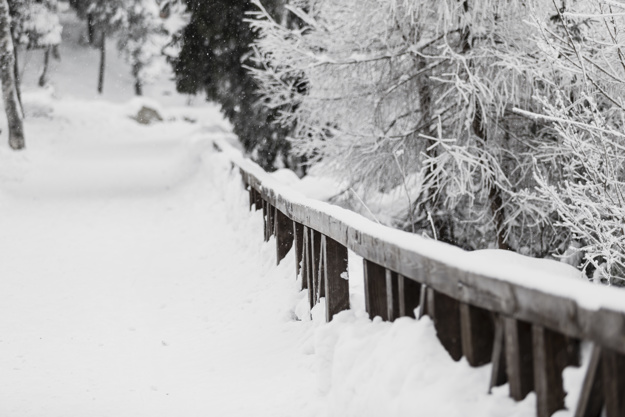 wooden-fence-in-snowy-woods_23-2147741974
