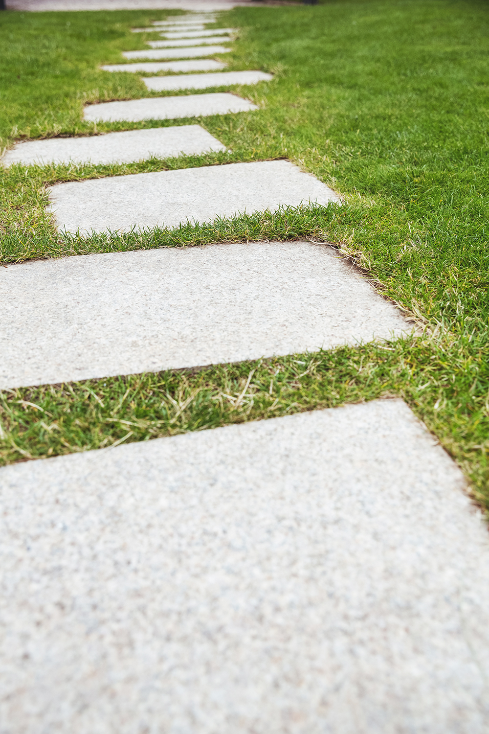 Cement walkway in the garden