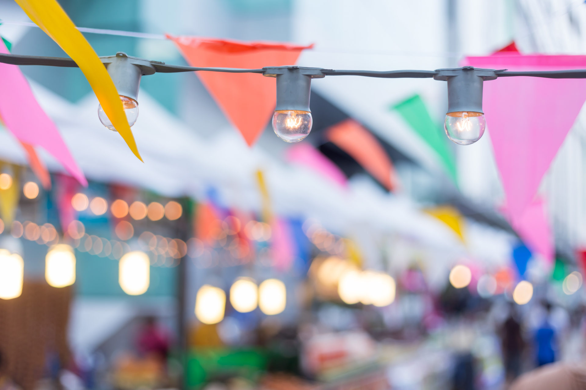 Birthday garden party, lights bulb, party flags