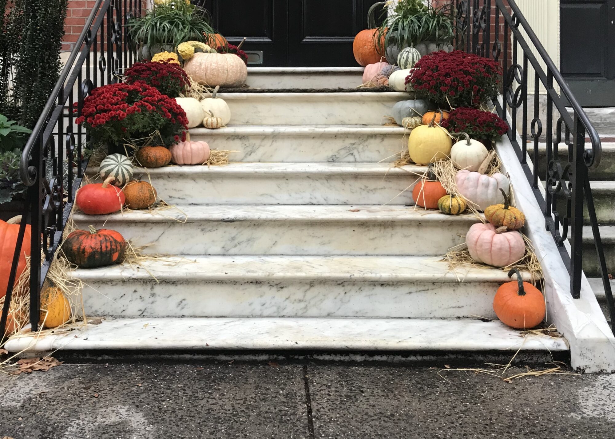 Pumpkins and Gourds and Front Stoop Stairs